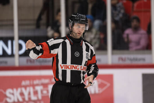 Linjedomare Nicklas Elmerstig