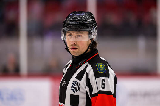 Domare Robin Jacobsson