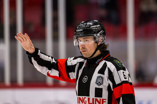 Domare Robin Jacobsson