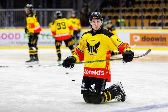 Västerås Joel Kant