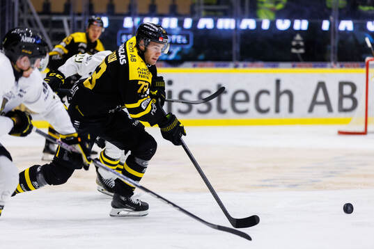 Västerås Anton Gradin