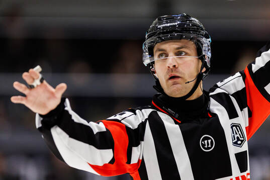 Domare Niclas Lundsgaard
