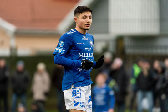 Trelleborgs Ammar Asani