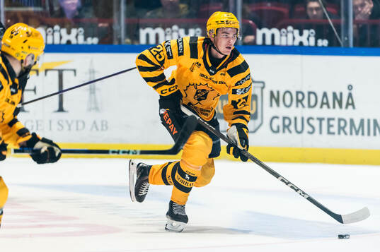Skellefteås Pontus Johansson
