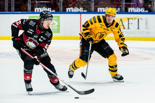 Malmö Redhawks Robin Salo och Skellefteås Max Lindholm