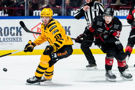 Skellefteås Max Lindholm och Malmö Redhawks Lassi Thomson