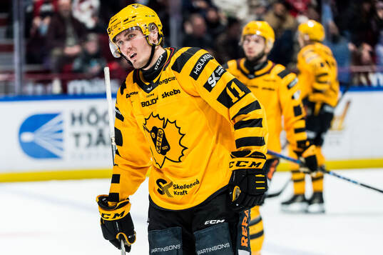 Skellefteås Max Lindholm deppar
