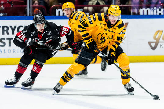 Skellefteås Pär Lindholm och Malmö Redhawks Jakub Galvas