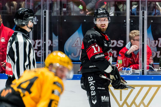 Malmö Redhawks Johan Ivarsson deppar