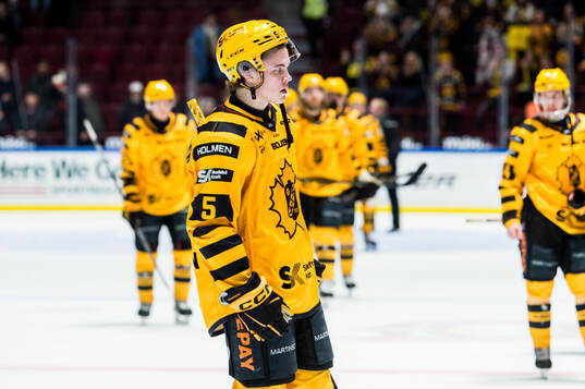 Skellefteås Axel Sandin Pellikka deppar