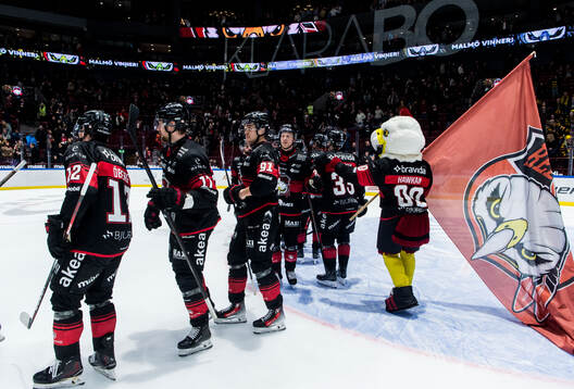 Malmö Redhawks spelare jublar