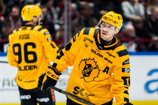 Skellefteås Max Lindholm deppar