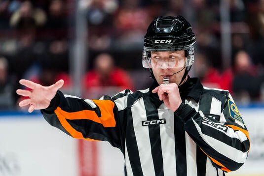Domare Daniel Eriksson