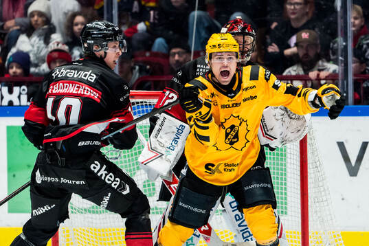 Skellefteås Andreas Johnson och Malmö Redhawks William