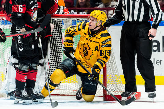 Skellefteås Rickard Hugg deppar