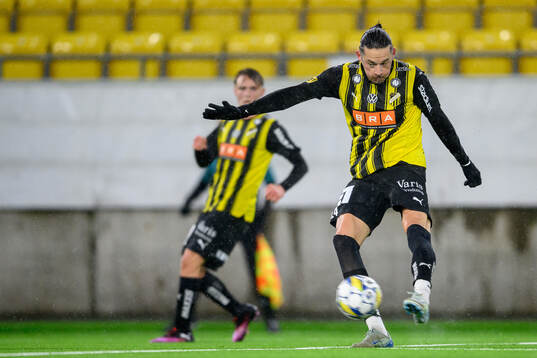 Häckens Amor Layouni