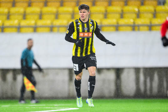 Häckens Iggy Hoeben