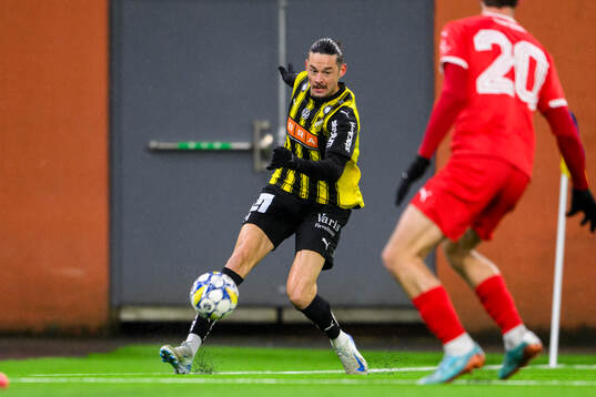 Häckens Amor Layouni