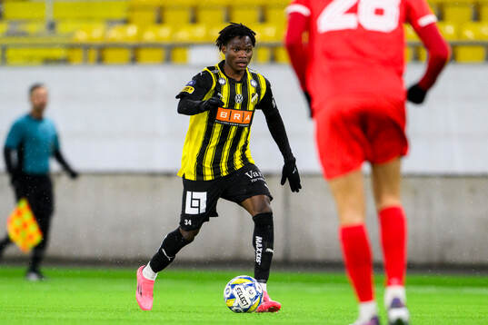 Häckens Severin Nioule