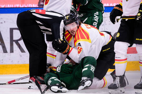 Brynäs Charles-Édouard D'astous och Färjestads Oskar
