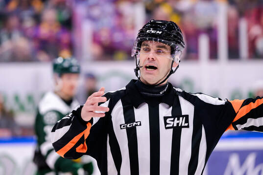 Domare Richard Magnusson