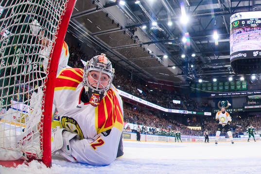 Brynäs målvakt Ludvig Persson