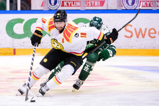 Brynäs Anton Rödin