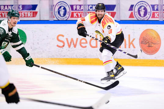 Brynäs Anton Rödin