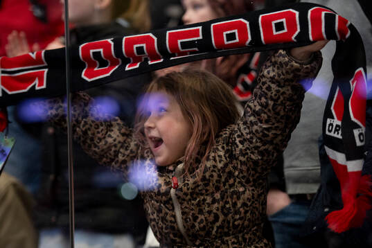 Örebros supporter