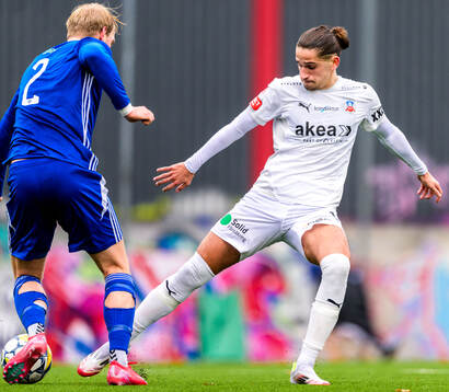 Helsingborgs Ervin Gigovic