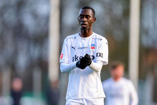 Helsingborgs Babanding Bojang