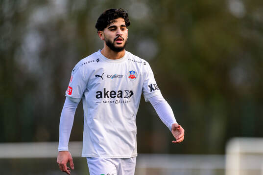 Helsingborgs Baker Amer