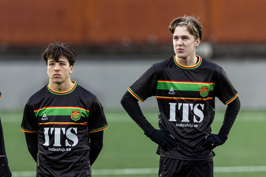 GAISs Matteo de Brienne och Daniel Bengtsson