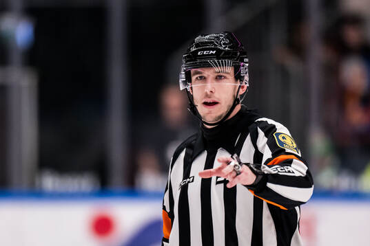 Domare Oscar Niklasson