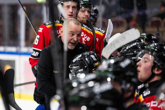 Luleås tränare Thomas Berglund