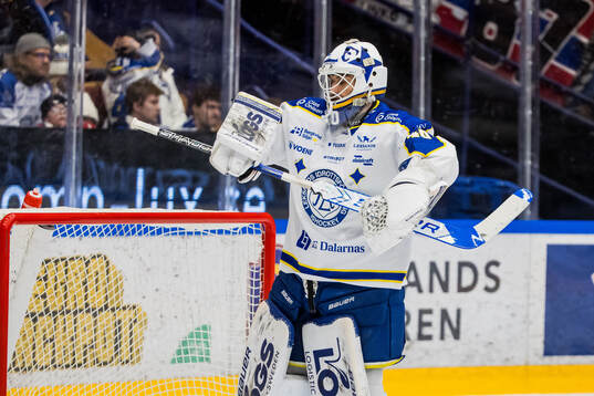 Leksands målvakt Mantas Armalis deppar