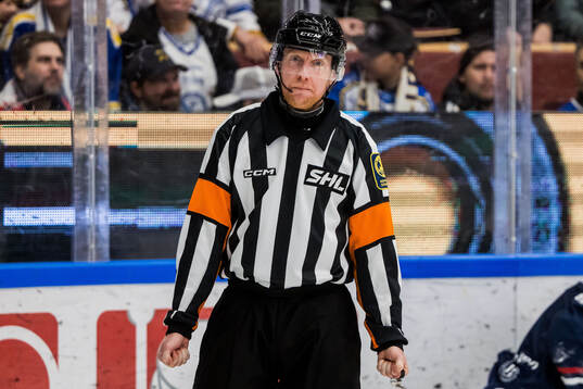 Domare Mikael Holm
