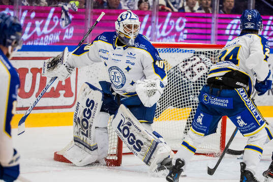 Leksands målvakt Mantas Armalis