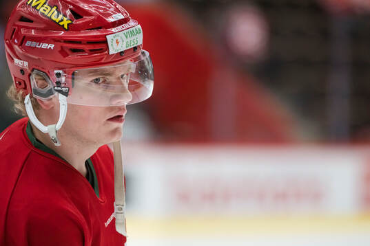 Modos Theodor Niederbach innan ishockeymatchen i SHL mellan
