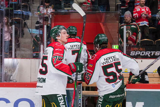 Frölundas David Edstrom deppade