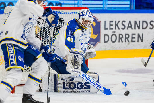 Leksands målvakt Mantas Armalis