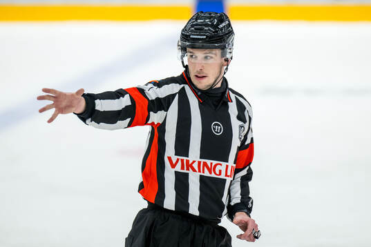 Domare Oscar Niklasson