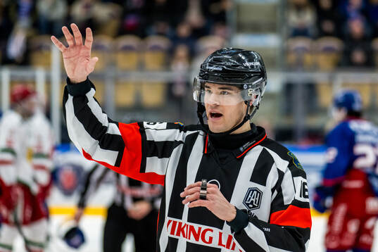 Domare Oscar Niklasson