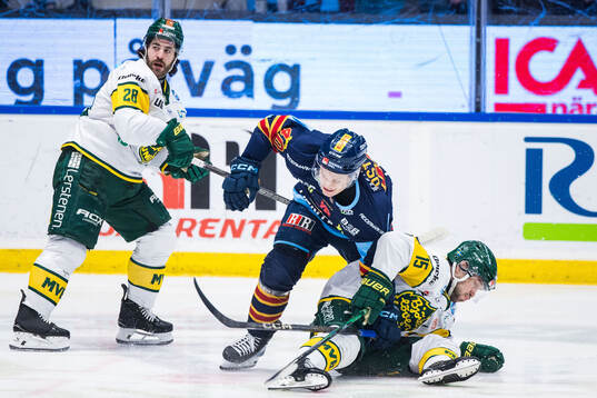 Djurgårdens Arvid Costmar och Björklövens Mattias
