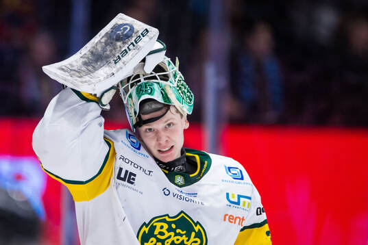 Björklövens målvakt Melker Thelin
