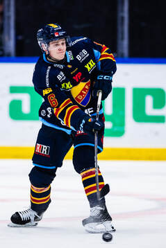 Djurgårdens Mattias Hävelid