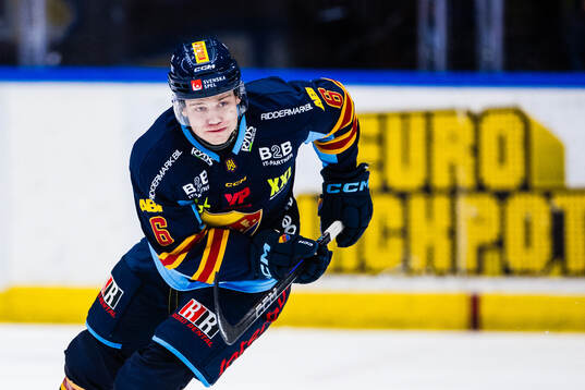 Djurgårdens Mattias Hävelid
