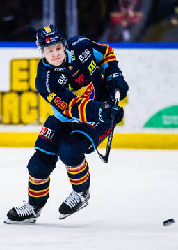 Djurgårdens Mattias Hävelid