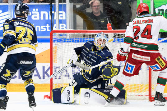 HV71s målvakt Hugo Alnefelt