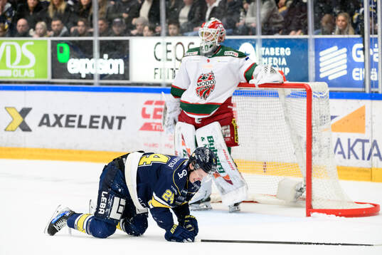 HV71s Oscar Fisker Molgaard deppar
